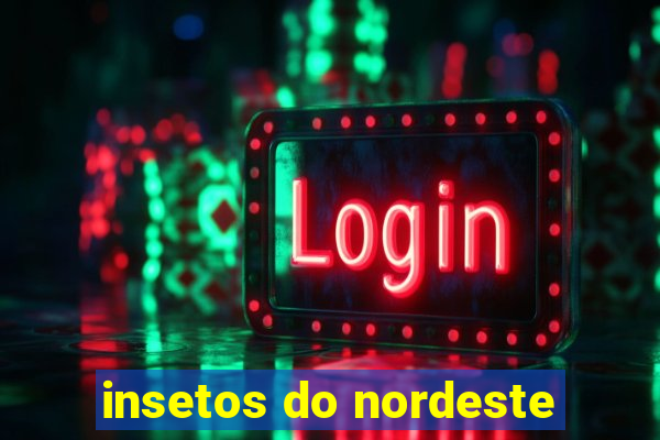 insetos do nordeste